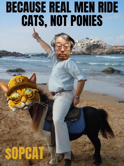 @0xDegenApe Don't miss Satoshi's cute kitty $OPCAT!