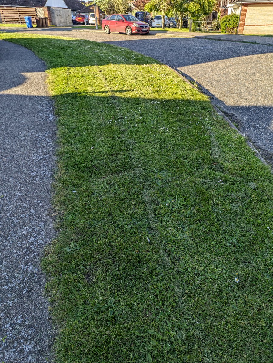 bourneorwell's tweet image. Hi Vertas Right hand side just inside Monmouth Close. The worst grass cutting job ever. It's been run over as opposed to actually mown. #IBC
#vertas