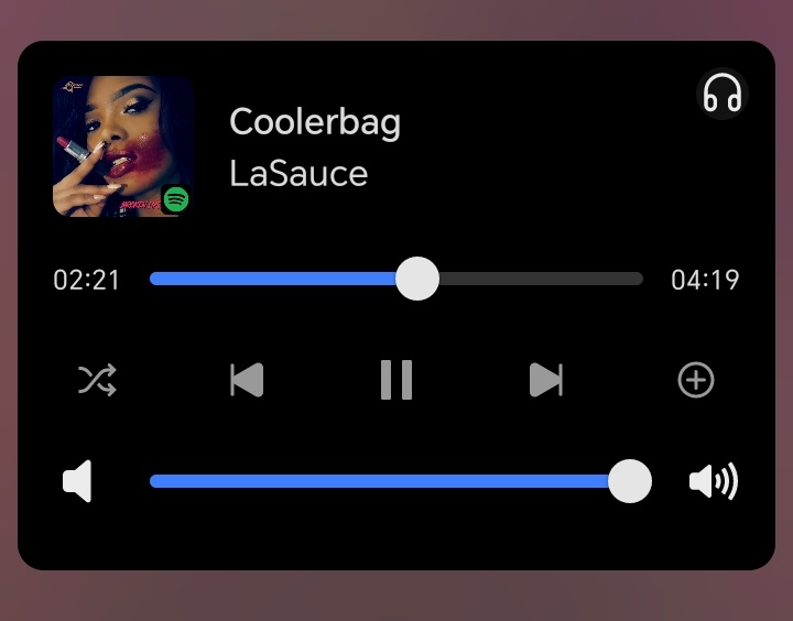 LaSauce - Coolerbag
