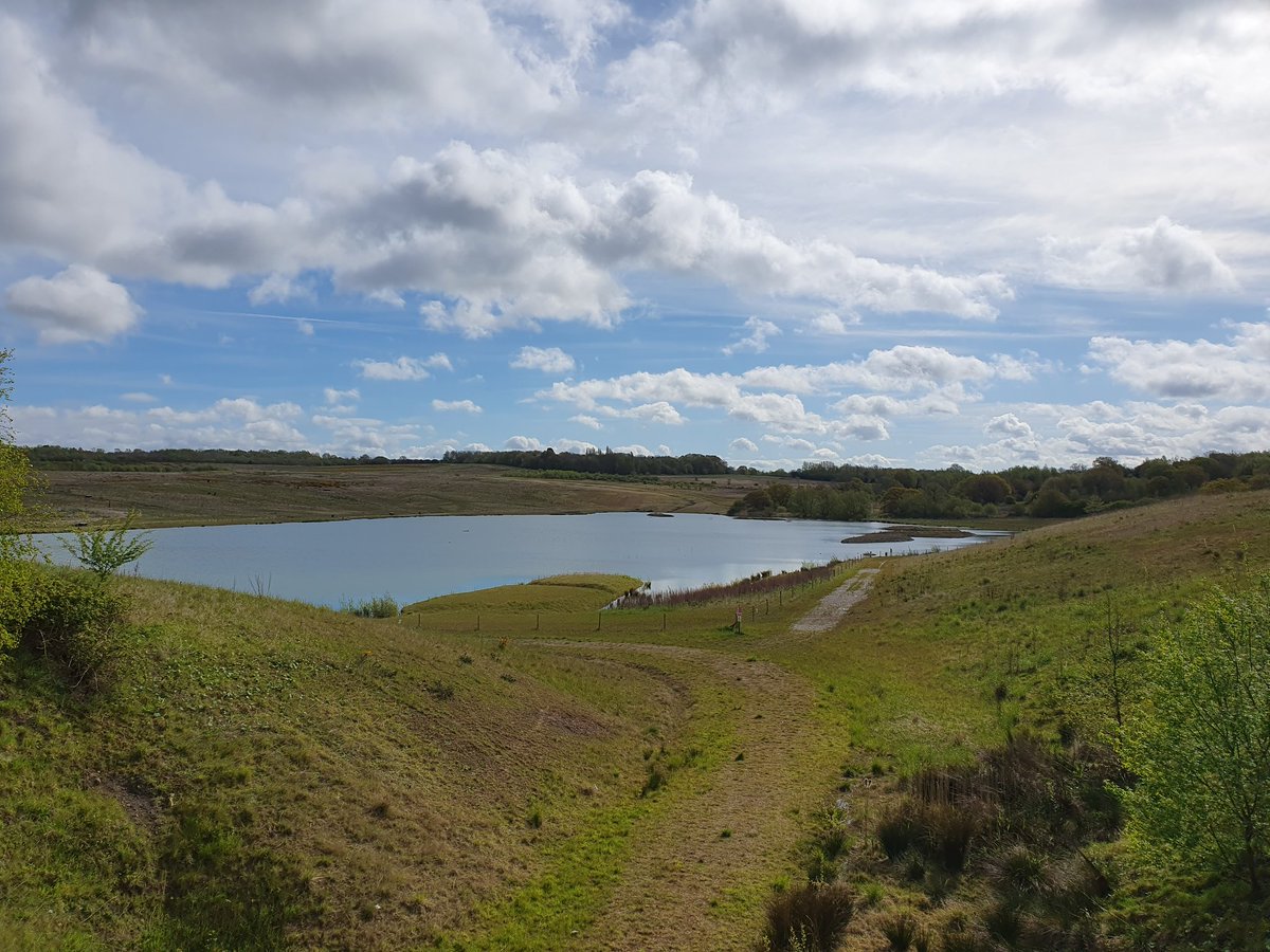 First Ringed Plover of the year this morning on the telegraph pit, off Ratcliffe Lane, also Whimbrel and Common Sand, 3 Wheatear feeding on the short grass at the side of the lake at Albert Village old landfill site, nearby my first 3 Common Tern of the year at Hicks Lodge. 👌