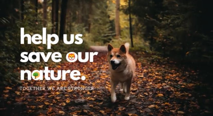 🌳❤️🦮
Give Back 100x To Nature and Let Nature show us more GAINS 💎

🌲@ShibainuCoin🤝@Trees_token🦮

#ShibaArmy loves nature hence supports eco-friendly projects like #SAFETREES. Excellent product utility and commitment. 

❤️ Smash the LIKE & RT♻️ for $SHIB $TREES $BONE $LEASH