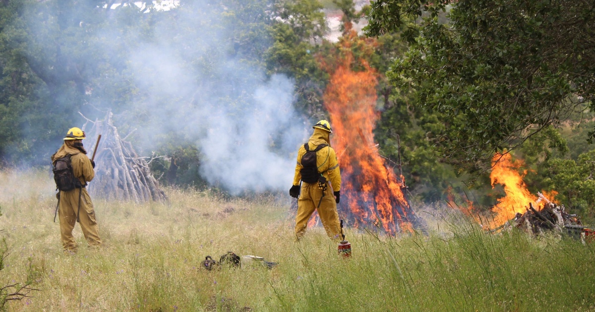 In the news! 

Prescribed burns are getting a lot of attention as an inspiring tool to reduce the risk of catastrophic wildfire while promoting ecological diversity. 

Learn how Marin is using fire in the landscape. 
 ⬇️⬇️⬇️
resources.firesafemarin.org/wp-content/upl…

#MarinCounty
