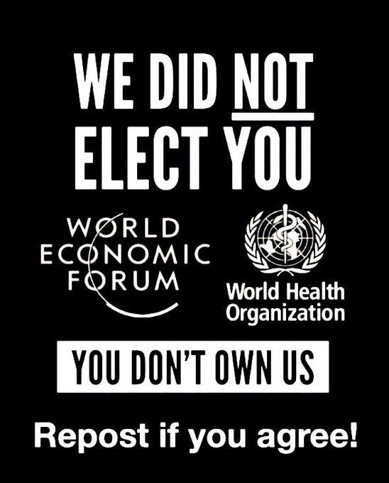 Anti WEF tweet media
