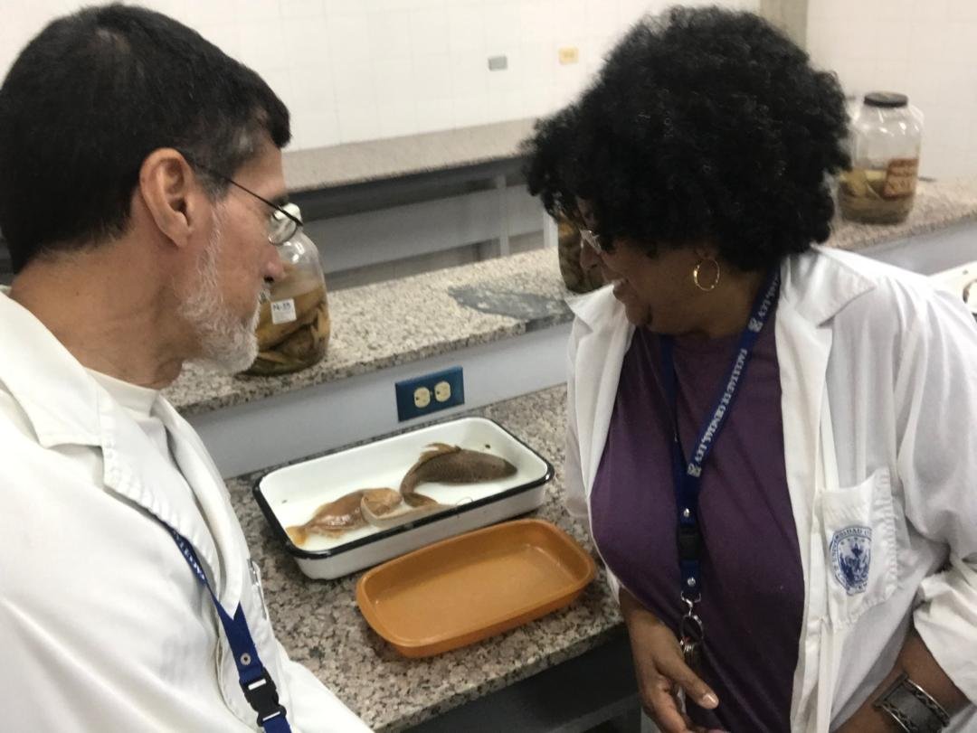 ZoilaRosaMartn1's tweet image. Me encanta ver a mis #BioPanas dándole vida a esa Facultad que nos dio lo mejor, nutriendo nuestro pensamiento científico #OrgulloUcevista