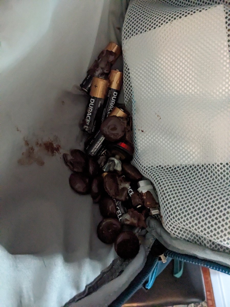 audiohymn's tweet image. My backpack candy fucking melted all over my backpack batteries