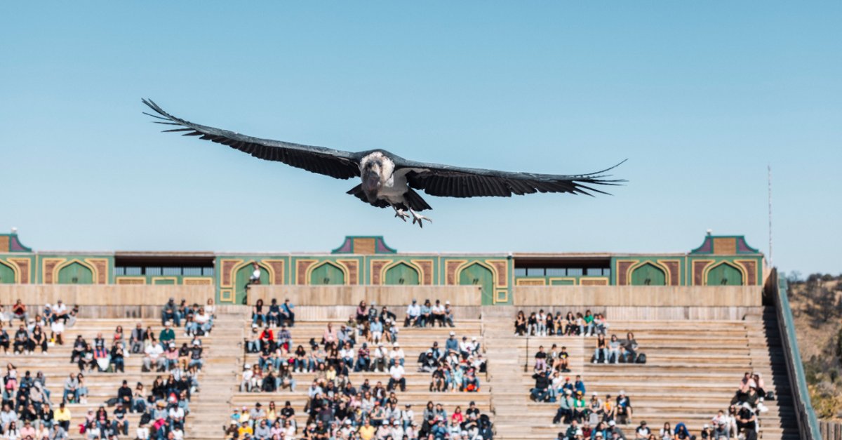 PuyduFou_espana tweet picture