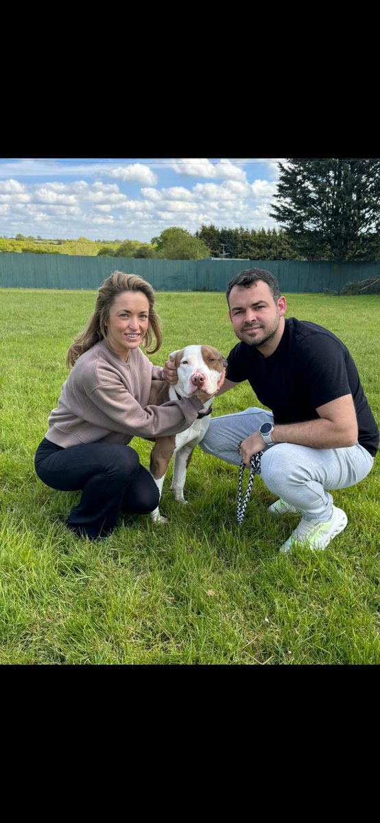 News we have been wanting to share but have had to work silently behind-the-scenes to ensure the safety of this boy. 

We were contacted by Georgie Wright who found this handsome lad tied to a post in Essex and ask for our assistance in saving him after he unfortunately ended up
