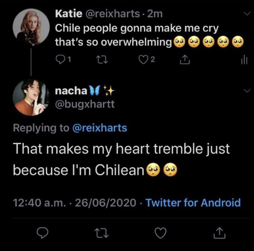 bonzu pippinpaddleopsicopolis tweet media