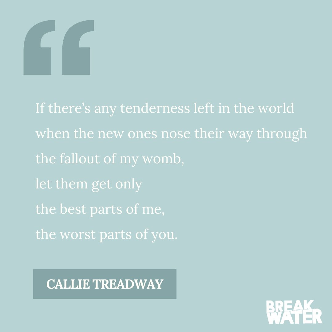 Issue 35 highlight from “Family Planning for the Aftermath,” a poem by Callie Treadway.

Read the full piece and the rest of the issue at the link in bio✨