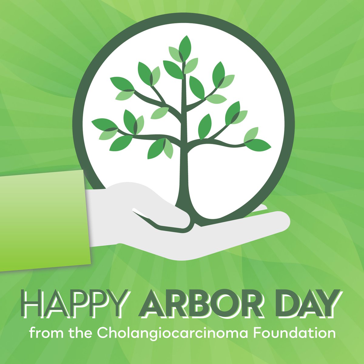 Happy Arbor Day from the Cholangiocarcinoma Foundation! 🌳