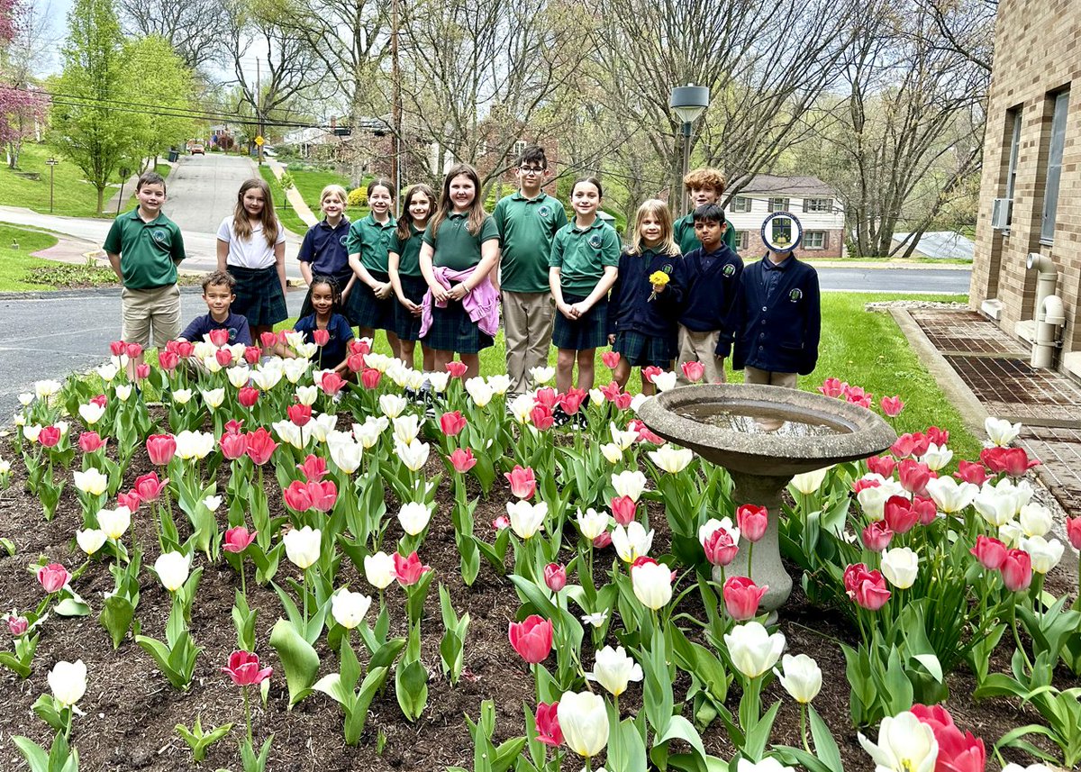 Witnessing the bulbs sprout into lovely flowers was gratifying, despite the challenges posed by the deer!

#southcatholic #saintsalive #classicalcurriculum #catholicschools #pittsburghcatholicschools #science