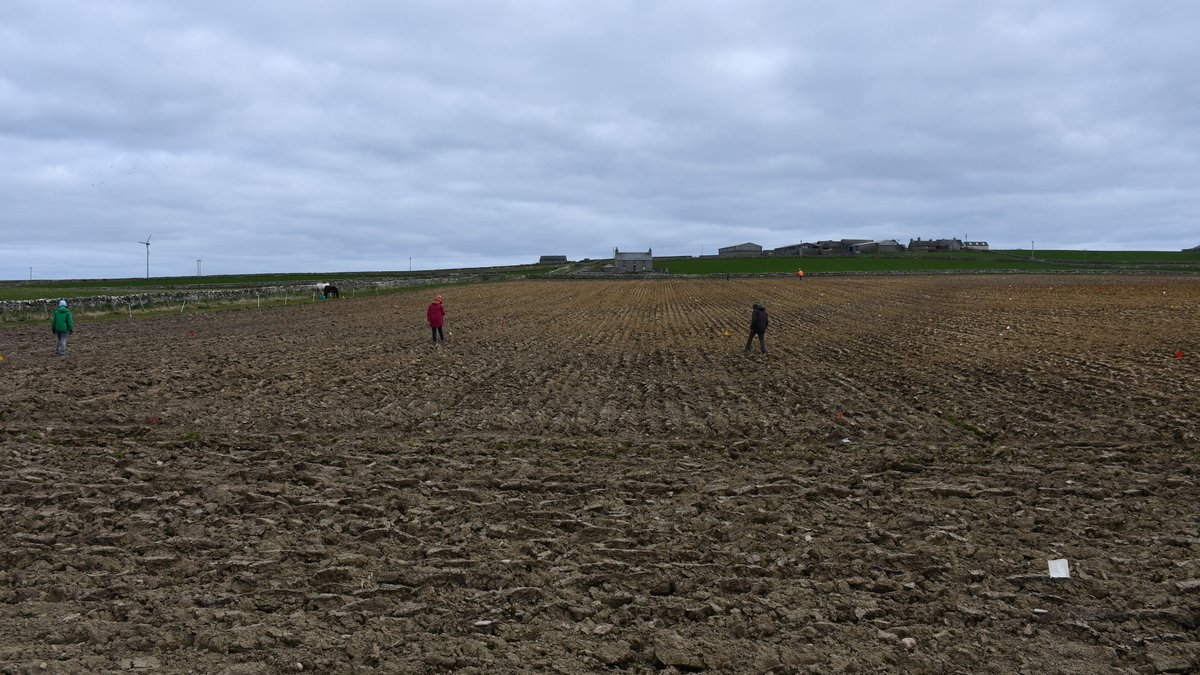 A fab few days fieldwalking with volunteers in Stronsay this month, looking forward to seeing what treasures we have harvested from the plough soil...@UHIArchaeology