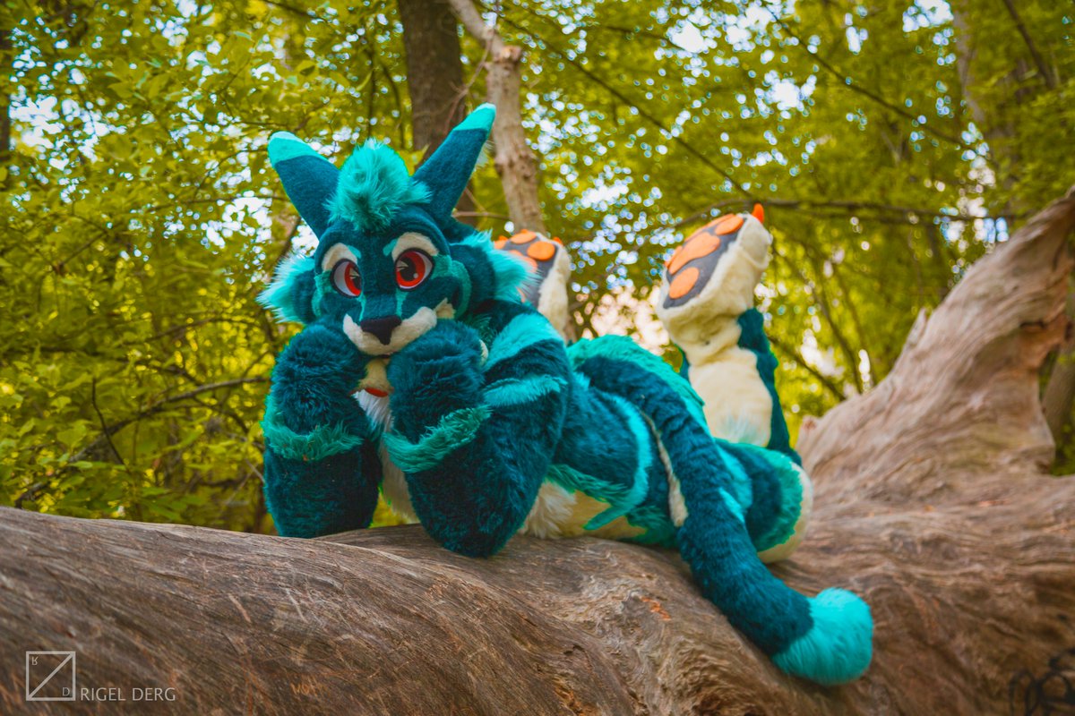 what cha thinkin about? 📸@RigelDerg