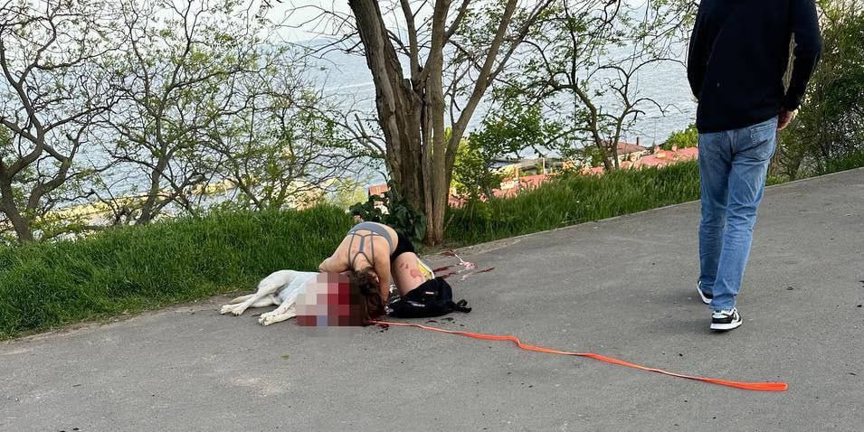 ‼️ A young woman was walking in the park with her dog in #Odesa when the occupiers decided to shell the city. The dog was wounded and died of the injuries. The photo shows the young woman saying goodbye to her four-legged friend. Meanwhile, the number of victims of the…