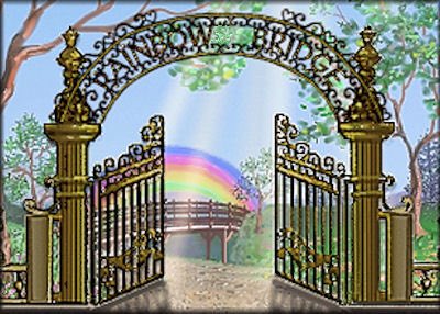 REMINDER: #TributeRide to honour memory of all cherished anipals and beloved friends and family who crossed #OTRB this past month, April🌈💔
Taking place *TOMORROW* Tuesday April 30 2024🐾 4:00pmEST, 1:00pmPDT, 9:00pmBST
#BBOT #PinkAngels #weeti #ZSHQ #ForeverLove #GoneTooSoon