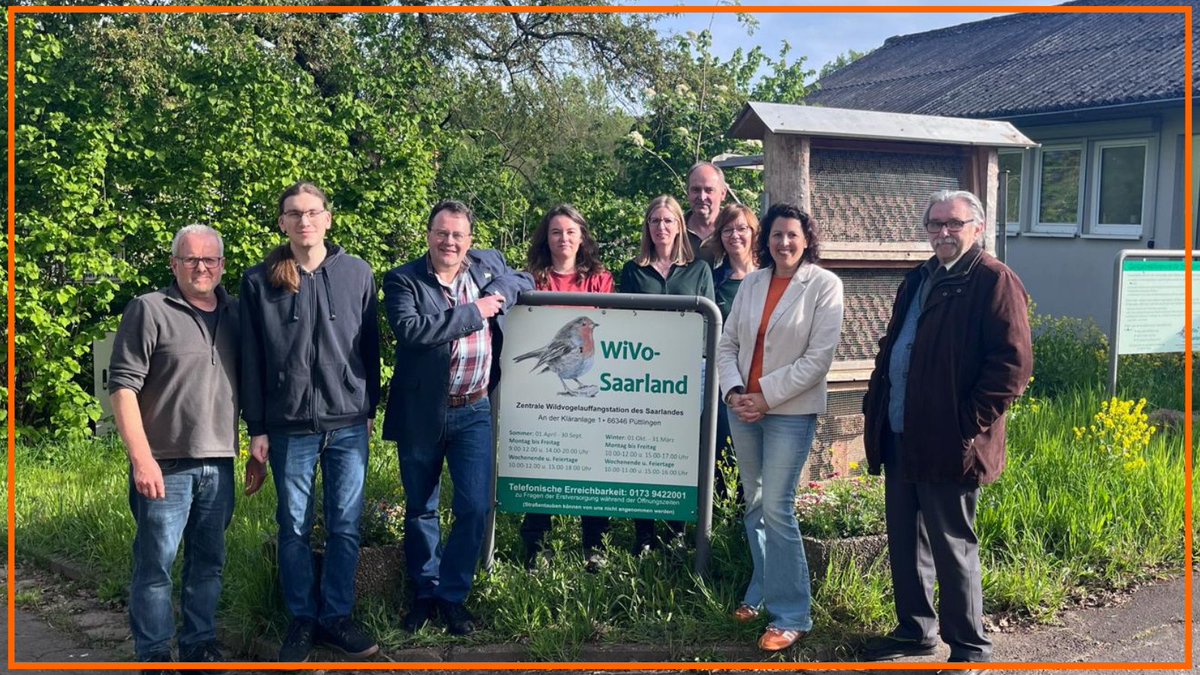 Heute besuchte ich eine #Wildvogelauffangstation (WiVo) im Saarland! Die ehrenamtlichen Helfer:innen retten verletzte #Vögel mit dem Ziel, sie wieder in die Wildnis zu entlassen. Vögel sind essentiell für unsere Ökosysteme - ein Grund mehr, die Arbeit der #WiVo zu schätzen!🦉