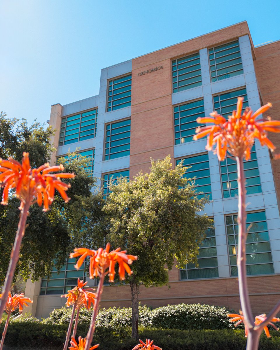 “Monday, the start of a new week, with brand-new opportunities to enjoy all that life has to offer.” Have a great week, Highlanders! #UCRscience #UCRCNAS #MondayMotivation #ucr #ucriverside