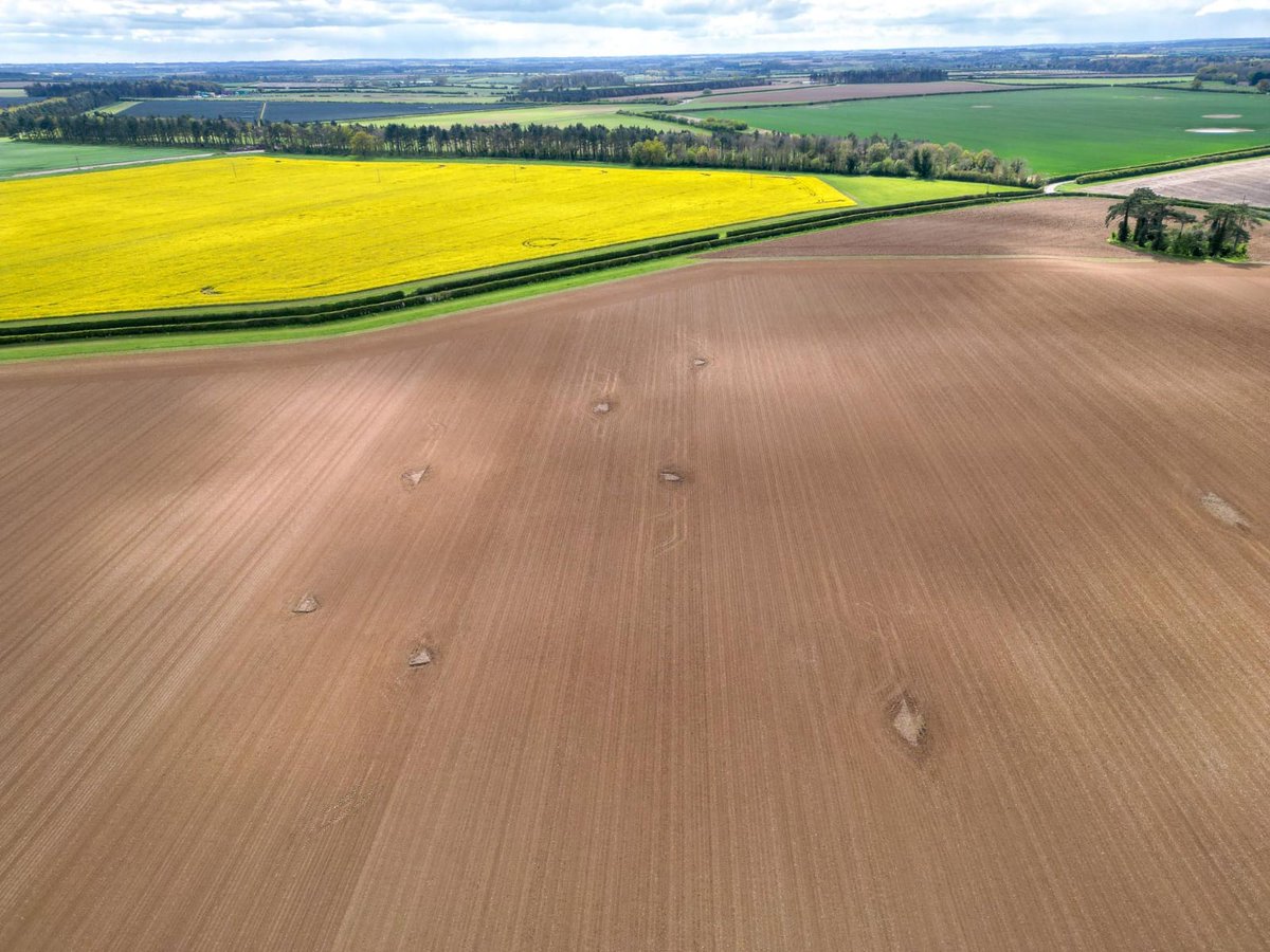 PaulEele's tweet image. We found 10 lapwing nests in the end and worked with the farmer to protect them.
It took him 2hrs longer to plough the field but he said it was worth the extra effort.
4 nests have hatched so far, the rest shouldn't be much longer.
#partnershipworking