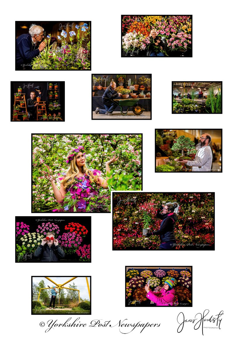 A little look back at this year #Harrogate #Spring #Flower #Show @HarrogateFlower outstanding event held @greatyorkshow ground see more online @yorkshirepost @YPinPictures order #images at Photo sales @yorkshirepost Email: photosales@jpress.co.uk @MarisaCashill #photography #Art