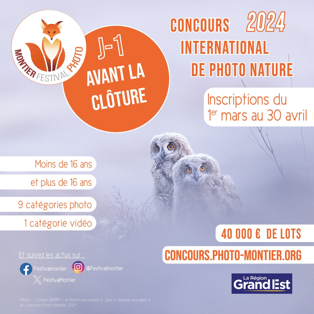 📷𝗖𝗢𝗡𝗖𝗢𝗨𝗥𝗦 𝗣𝗛𝗢𝗧𝗢 𝗠𝗢𝗡𝗧𝗜𝗘𝗥 : 𝗝-1️⃣avant la clôture 🦊 Participez ici : concours.photo-montier.org
Le concours est gratuit et il ouvert à tous (+ de 16 ans et - de 16 ans) ! #montier2024 #montierconcours