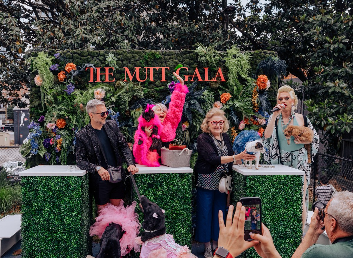 Everyone looked stunning at the #MidtownMuttGala yesterday! 🤩 Congrats to our winners: 🥇 Jack White - 1st (center) 🥈 LuLu Lollipop - 2nd (right) 🥉 Apollo - 3rd (left) Check out all our Mutt Gala photos here: bit.ly/3UseMRA Photographer: mattxmiller.com