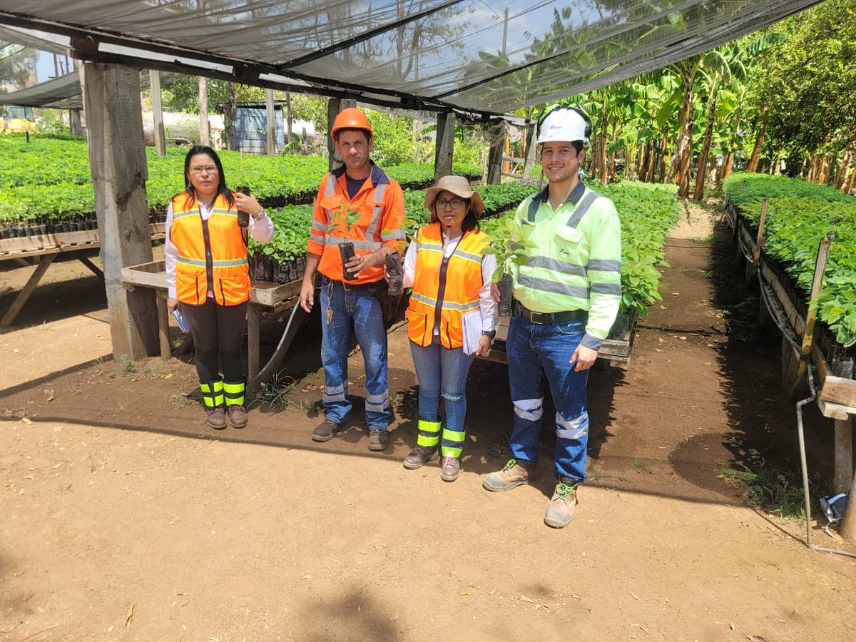 En el marco de la campaña nacional 'Verde, que te quiero verde', la delegación territorial del #MARENA en Managua realizó seguimiento al vivero de la empresa #CEMEX con el objetivo de promover el cuidado y la preservación de nuestra Madre Tierra. #VerdeQueTeQuieroVerde