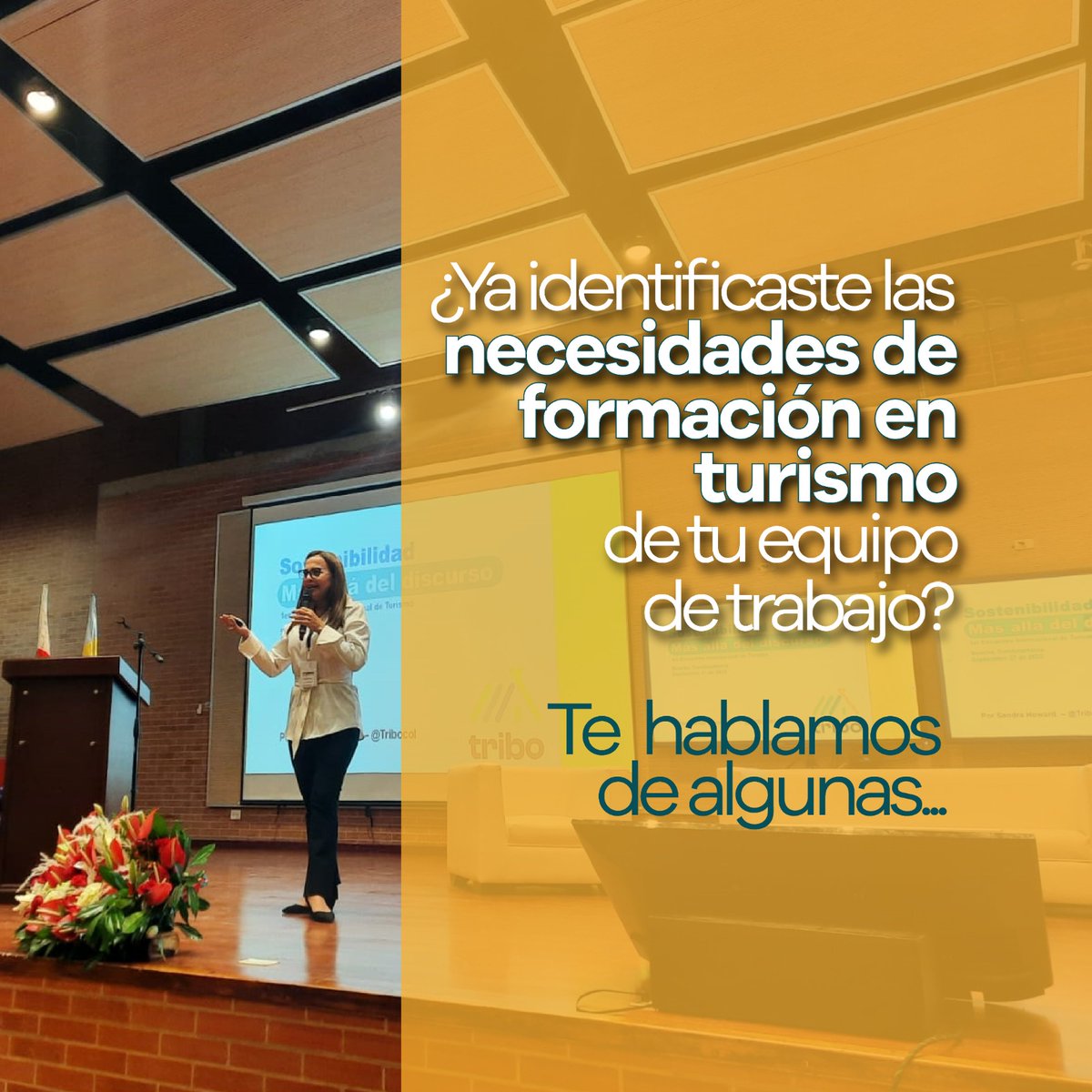 Tribocol tweet media