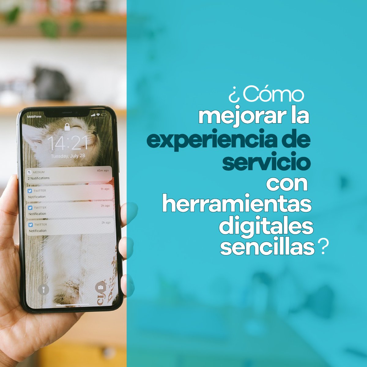 Tribocol tweet media