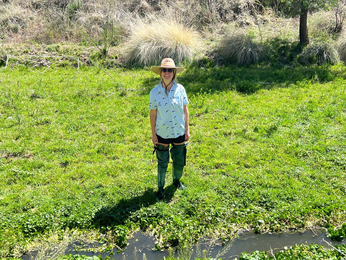 Learning about the endangered Gila Topminnow and its threatened habitat in  a borderlands community citizen-science #BioBlitz with the <a href="/sonoraninst/">Sonoran Institute</a>