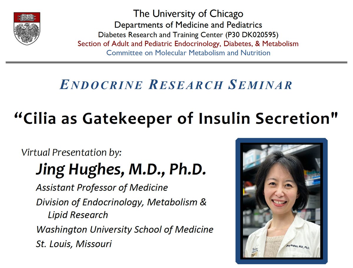 Join us as Dr. Jing Hughes presents “Cilia as Gatekeeper of Insulin Secretion.”

Mon, Apr 29
5 pm CT
Zoom Only - DM for link