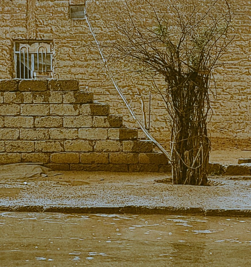 دفنتكم حيين قبلن تموتون !
في مقبرة من ينكرون الجمايل . 
#لشاعرها