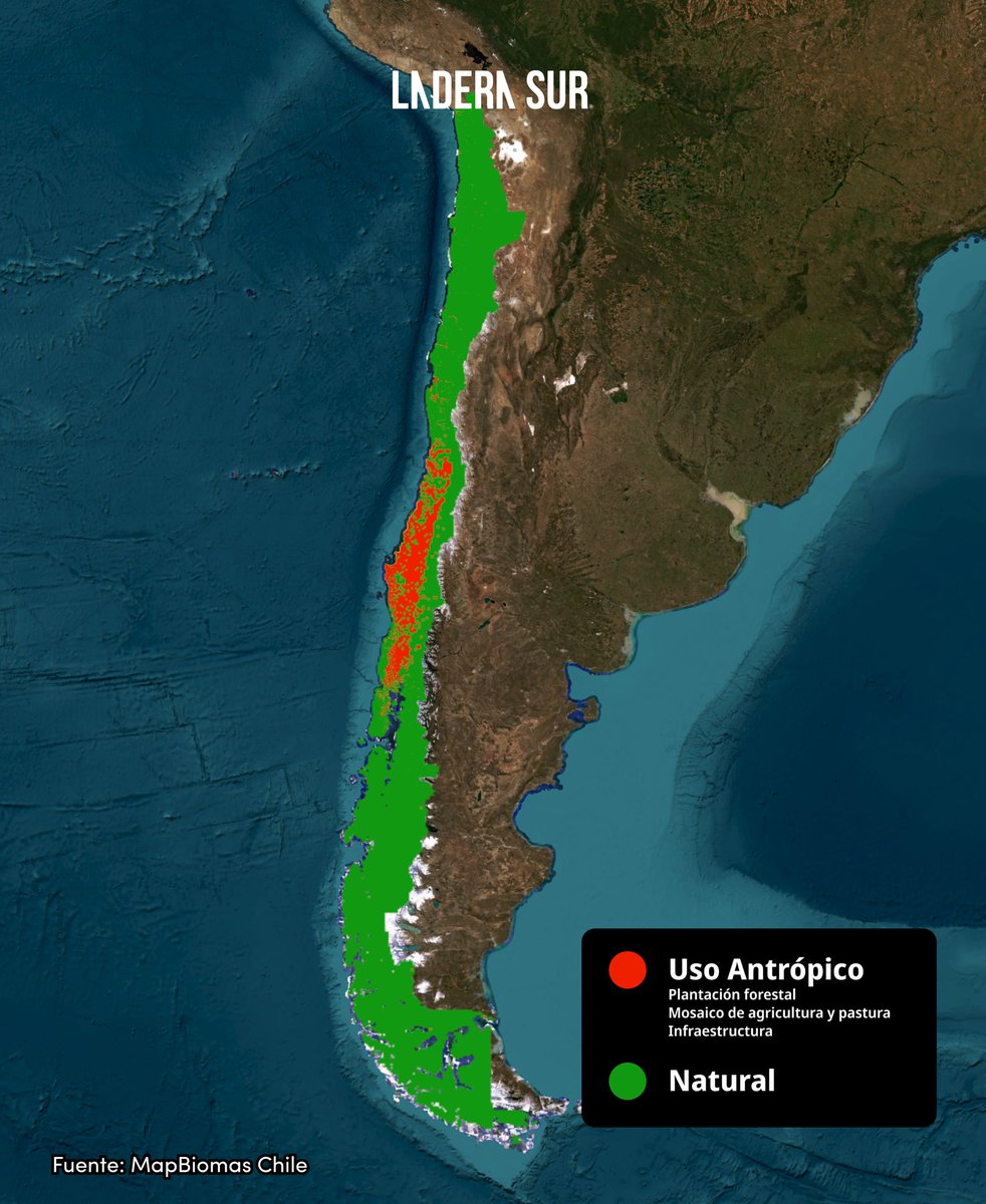 #Estápasando Uno de los ecosistemas más amenazados y menos protegidos de Chile: según estudio, en dos décadas se han perdido 500 mil ha de bosque nativo en la zona centro-sur