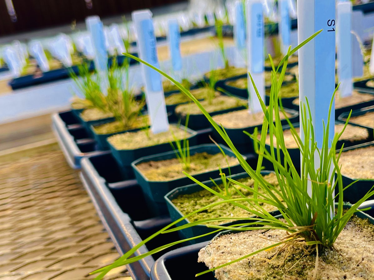 Jim Brosnan, Ph.D. tweet media