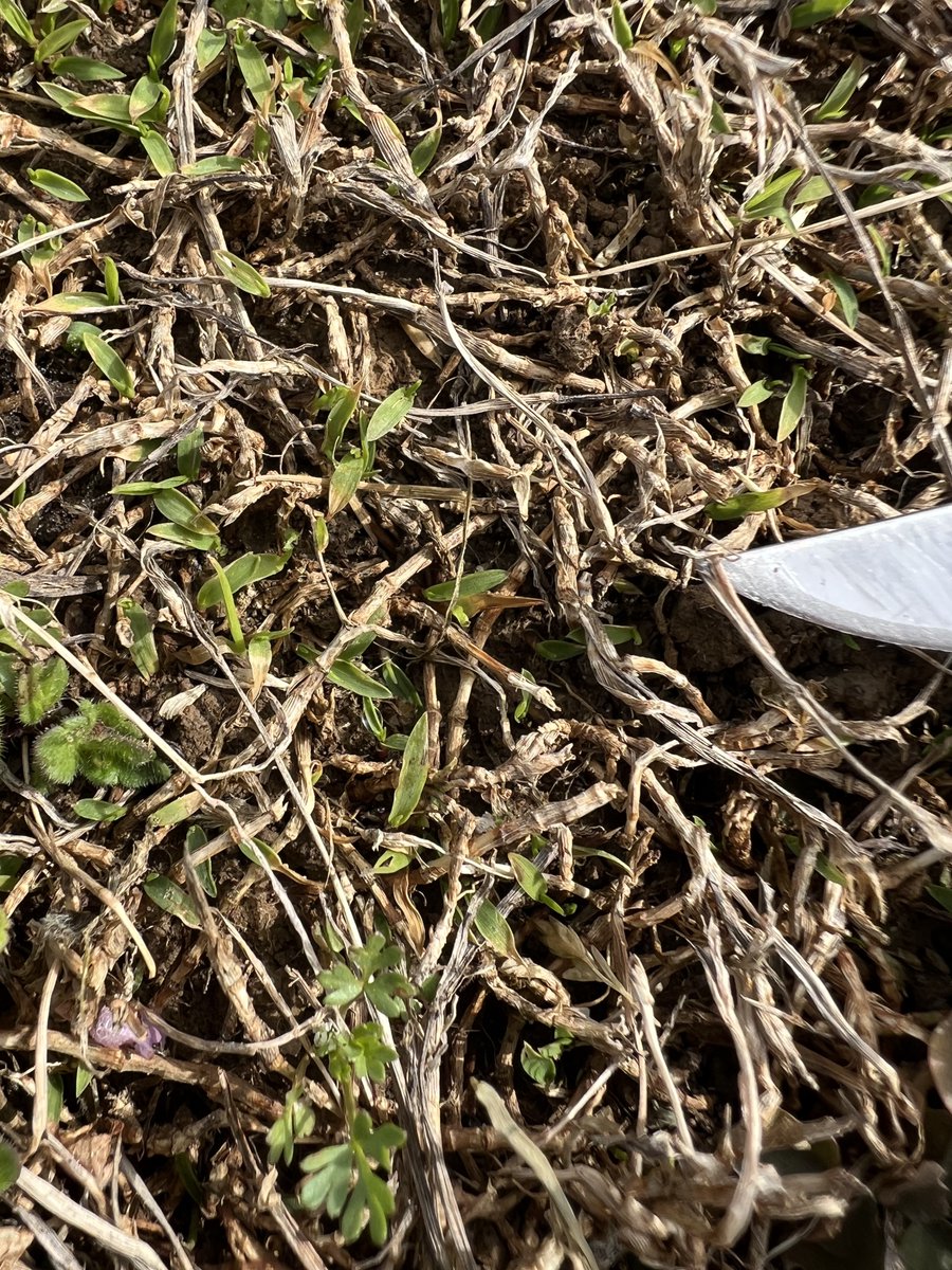 Jim Brosnan, Ph.D. tweet media