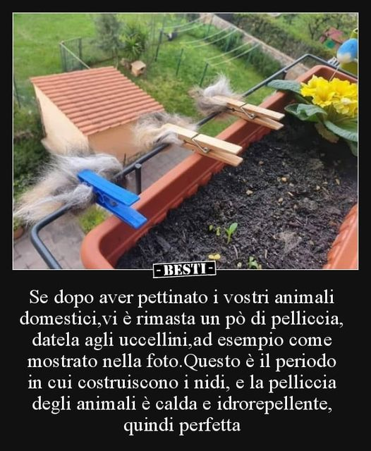 annamariamoscar's tweet photo. Interessante 👍 https://t.co/oWeOaaKmIR