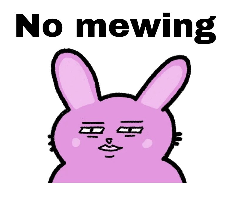 bun tweet media