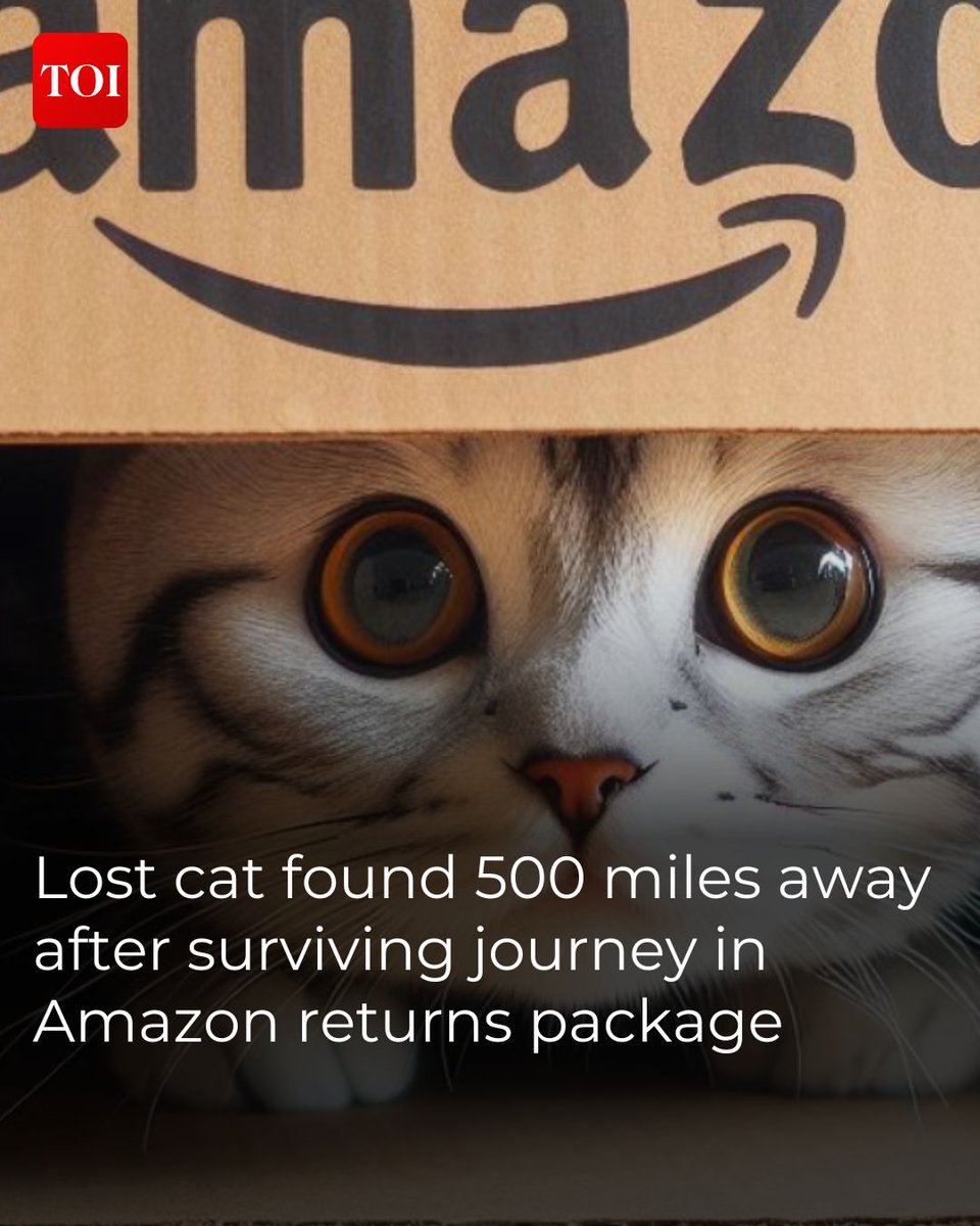 Carrie Clark was shocked when she received a call on April 17 from a veterinarian in California, informing her that her missing cat, Galena, had been found 500 miles away from her Utah home. Details here 🔗 toi.in/cat