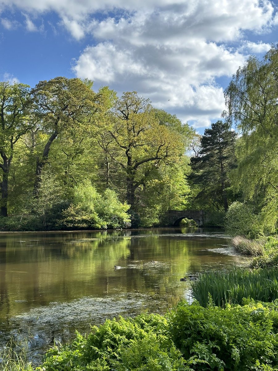 Hampstead heath, дякую, ти був дивовижний 🫶🏻
той факт, що я навіть особливо з Лондону нікуди не виїжджала, але знайшла тут спокій