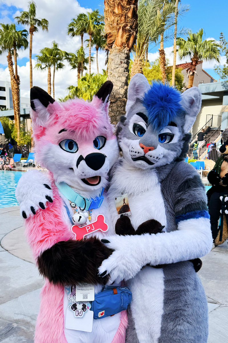 Meowing and yapping with a cute kitty by the pool at #LVFC 🩷💙

#FursuitEveryday #fursuit #fursuiting #furries #pinkfox