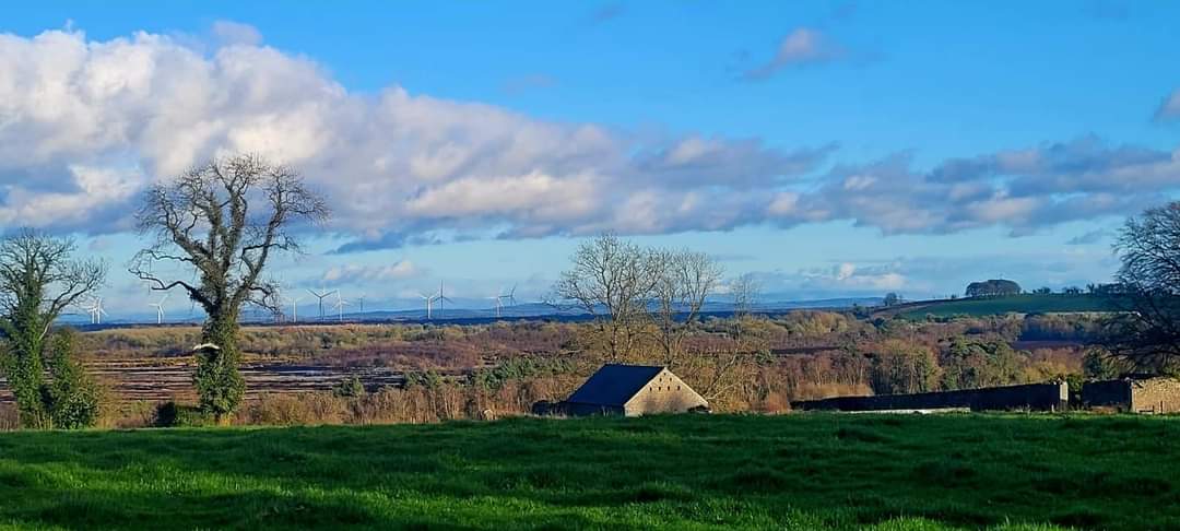 A lovley evening in the Back Lawn over looking Cavemount Bog with the Dublin mountains in the background.

#Mountbriscoeorganicfarm
#visitoffaly
#Irishcountryside