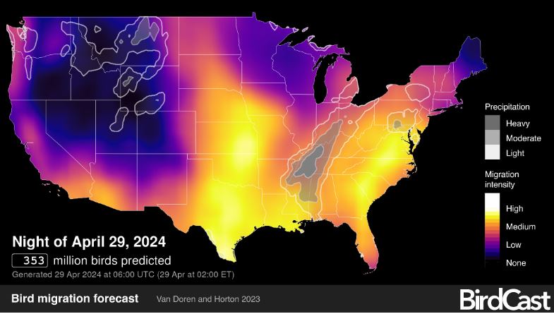 U.S. Fish and Wildlife Service (@usfws) on Twitter photo We are reaching peak bird migration in many parts of the United States. Remember to dim your lights for birds at night so that they can safely travel without becoming disoriented. 🧵 We are reaching peak bird migration in many parts of the United States. Remember to dim your lights for birds at night so that they can safely travel without becoming disoriented. 🧵