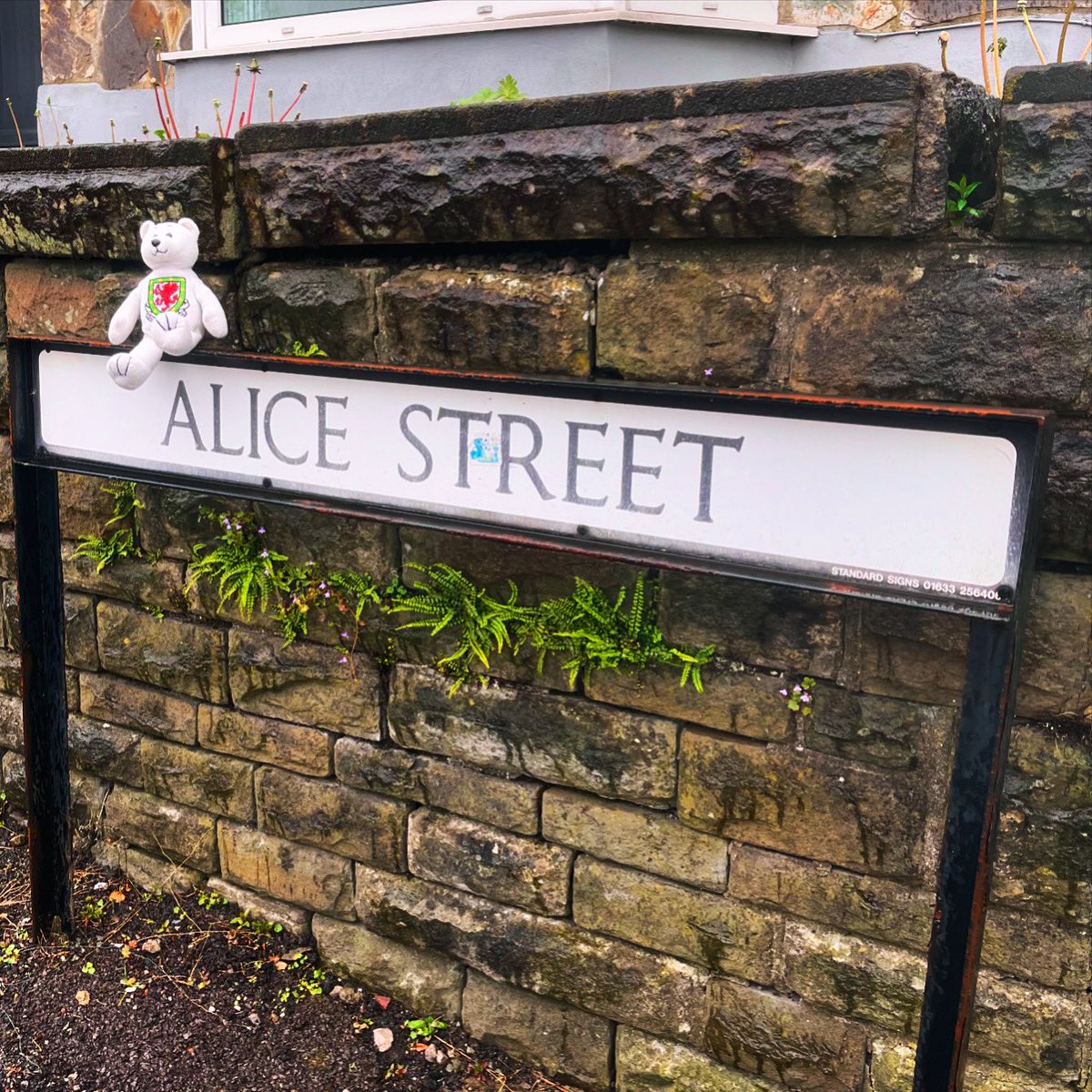 Tedi Bale visits Alice Street Abertawe home to Welsh Legend John Charles & four other Welsh internationals