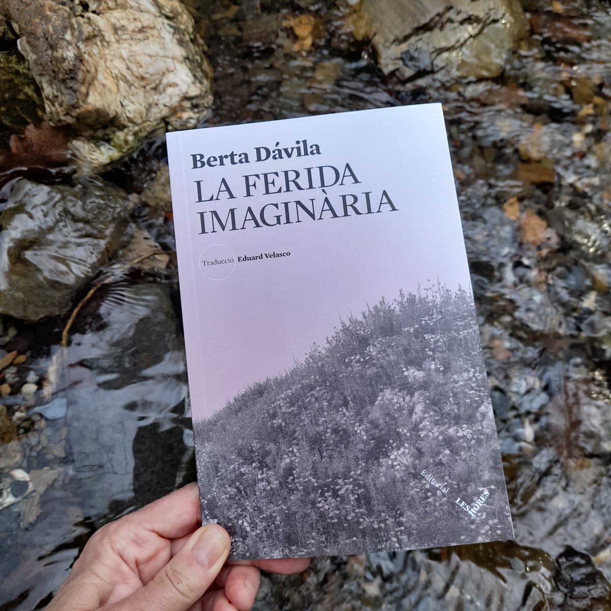 🖊️« Quan la temptació de l’autocompassió reapareixia, pensava en els diners que no tenia i l’enuig sepultava el decaïment anterior.» 📚La ferida imaginària, de @bertadavila 🌍Trad @Eduard_dCV editorialleshores.com/cataleg/la-fer…