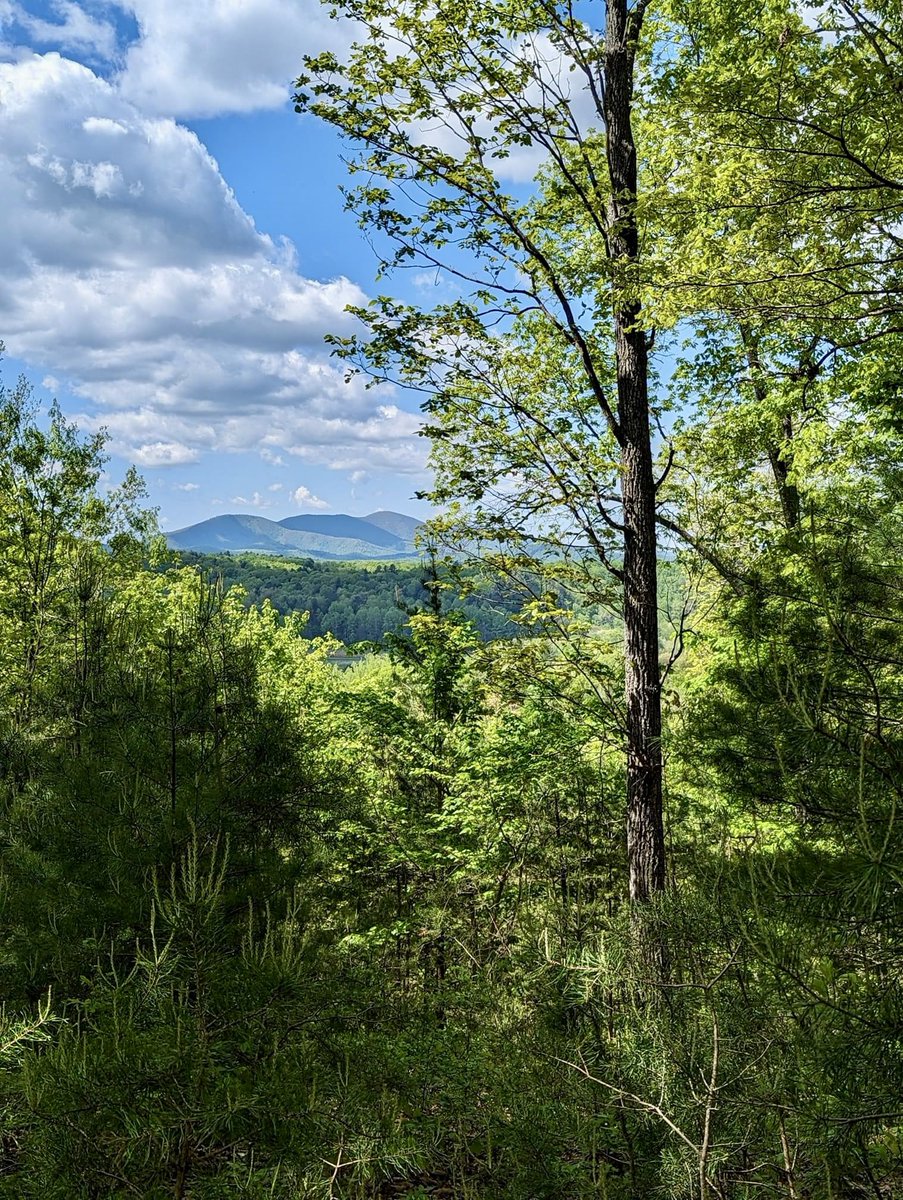 Looking at Bull Mountain