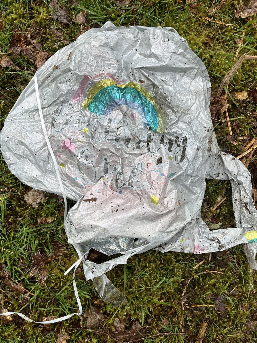 Some lovely wildlife in @CoedCadw’s Ceunant Llennyrch woods today. Also another bloody balloon. She may be your Little Princess but the balloon you bought her could kill wildlife & farm animals. Please stop buying this 🤬🤬🤬rubbish