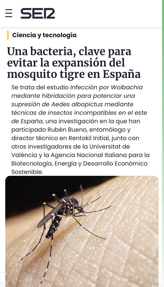 📻 Hoy también hemos atendido a los colegas de la sección de #Ciencia y #Tecnología de la cadena @La_SER para explicarles nuestra última investigación con bacterias para esterilizar las poblaciones del #MosquitoTigre en #España 🦟👇🏻