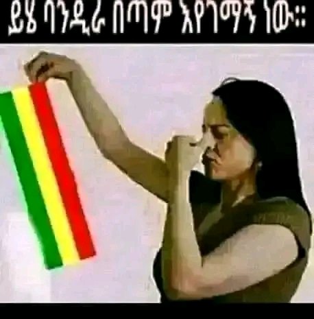 MitikuTadele7's tweet image. 