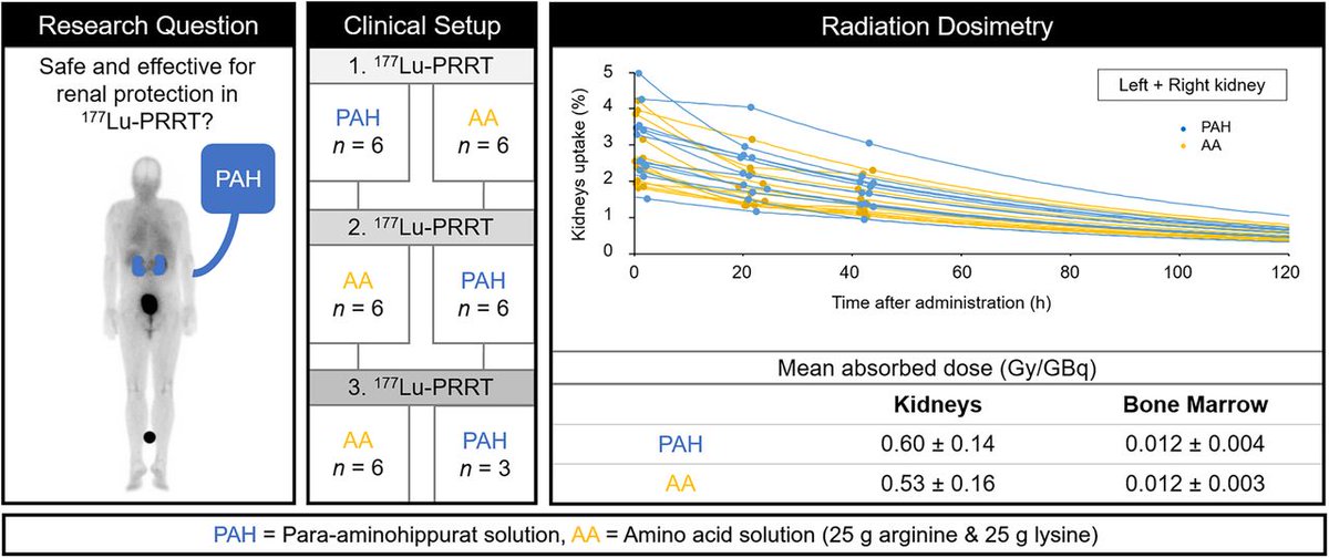 p-aminohippuric acid is a promising alternative to amino acid coinfusion for renal protection during peptide receptor radiotherapy for #NeuroendocrineTumors. ow.ly/T9fz50RmkPr #NuclearMedicine #RPTherapy @ProfKHerrmann