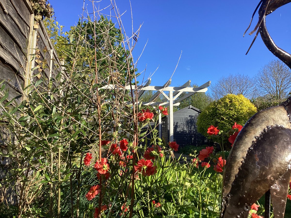 My lovely garden heron and very blue skies. Can’t decide so here are all four pics . #keston #loveukweather @metoffice @bbcweather @itvweather @SallyWeather @ChrisPage90