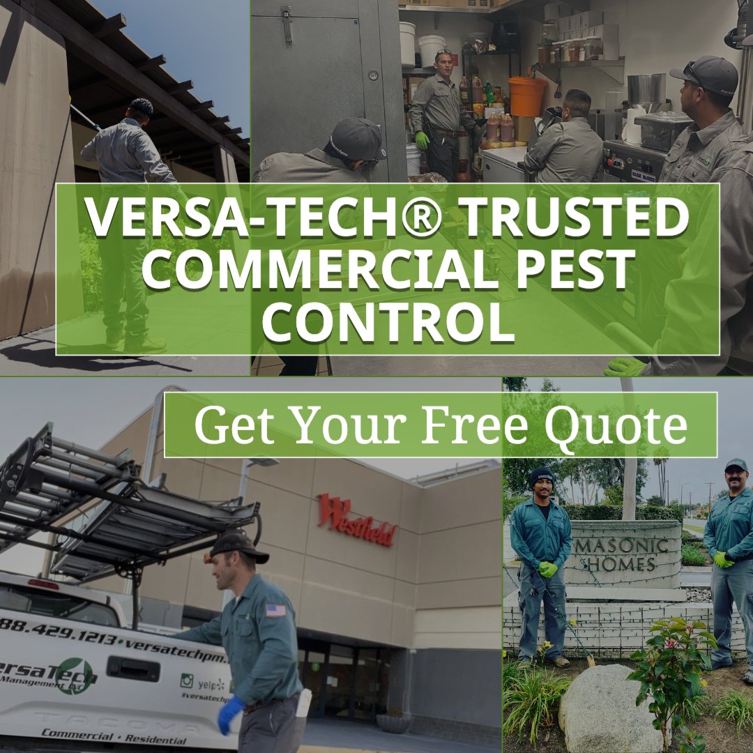 Are you looking for the absolute best commercial #pest & rodentcontrol in San Dimas, Los Angeles County or surrounding? Versa-Tech® is here for you with personalized, guaranteed pest removal solutions you can count on. Get your free quote & protect what matters most! #VersaTech